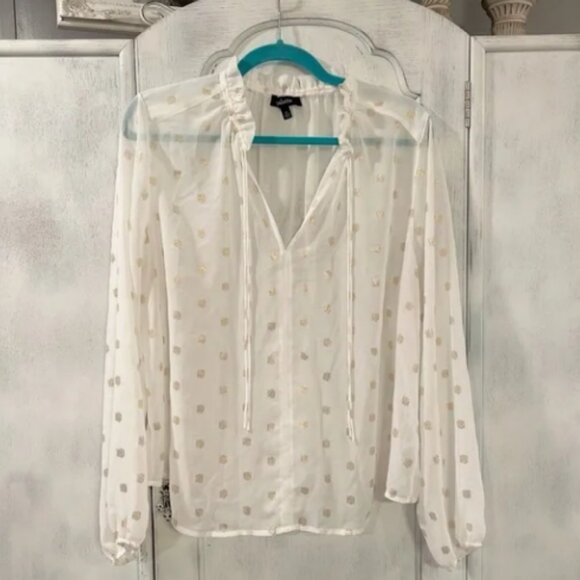 Palette White & Gold Polka Dot Sheer Blouse - Size XL - Picture 2 of 8
